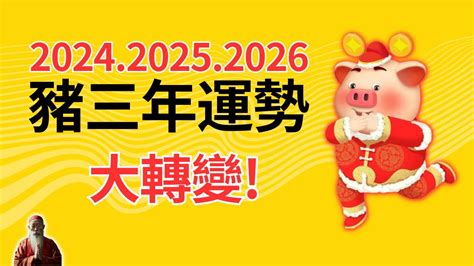 豬年 年份|2024屬豬幾歲、2024屬豬運勢、屬豬幸運色、財位、禁忌